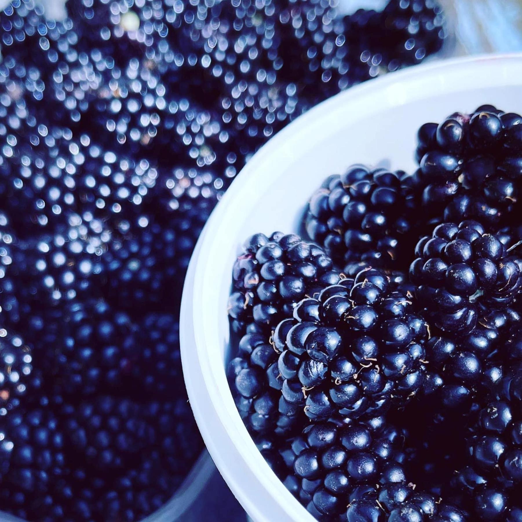 Blackberryhouse Aeroskobing Luaran gambar